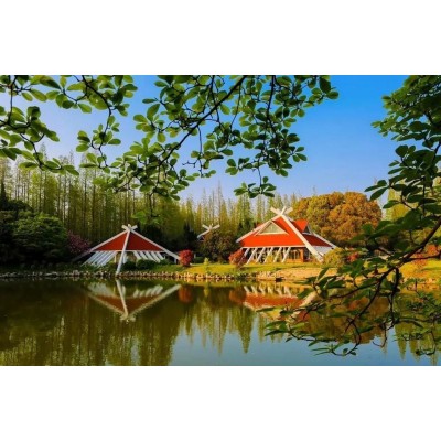 海上花岛生态度假村Qianwei Ecological Village图4