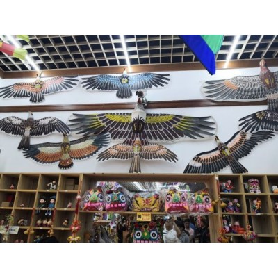 潍坊风筝博物馆Weifang Kite Museum图4