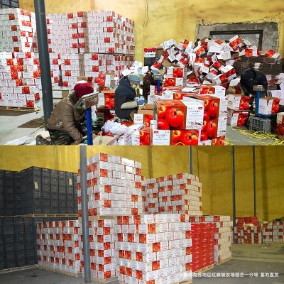 新疆阿克苏冰糖心苹果官方授权精品阿克苏苹果一件代发产地顺丰  2箱图2