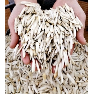 马牙瓜子新疆阿克苏尖下巴500g/袋装 牙签瓜子 炒货葵花子包邮  3袋图5
