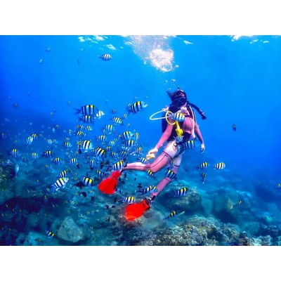 亚龙湾爱琴海PADI潜水度假村图5