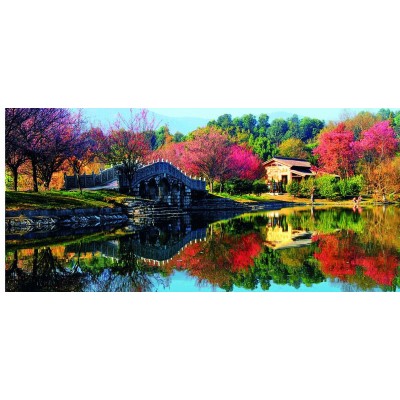 云南民族村4A景区图3