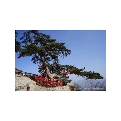 北京到陕西旅游 陕西西安 兵马俑 西岳华山 长恨歌双高五日图3