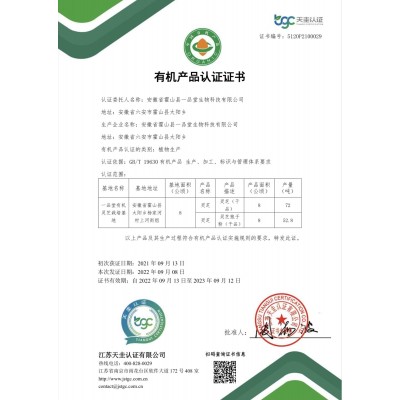 霍山灵芝孢子粉 套袋灵芝孢子粉 线下同款 有机霍山灵芝 厂家直批  2件图2