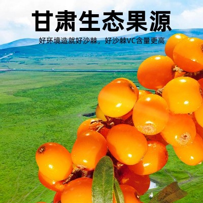杞里香尝萃沙棘原浆 礼盒沙棘原浆汁300ml盒沙棘果鲜汁独立小袋  2盒图3