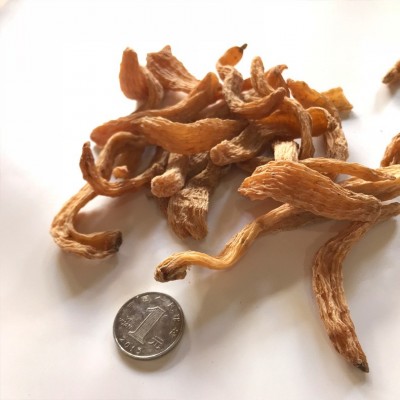 云南昭通天麻可代打天麻细粉 红天麻可代切片 深山老林小草坝天麻  2市斤图4