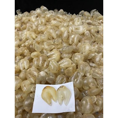 顾源堂 足干A货鸡泡胶 海味鱼胶干货批发 源头直供 量大价优  2袋图3