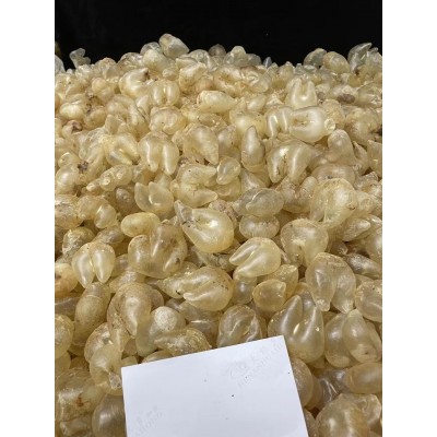 顾源堂 足干A货鸡泡胶 海味鱼胶干货批发 源头直供 量大价优  2袋图4