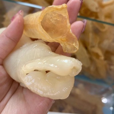 一手货源 黄花胶鱼胶干货滋补品批发深海鳕鱼胶花胶发代发1斤起 2斤图5