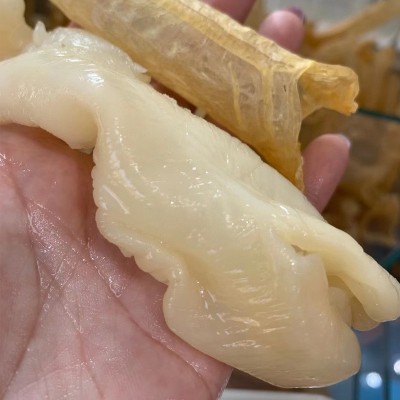 一手货源 黄花胶鱼胶干货滋补品批发深海鳕鱼胶花胶发代发1斤起 2斤图4