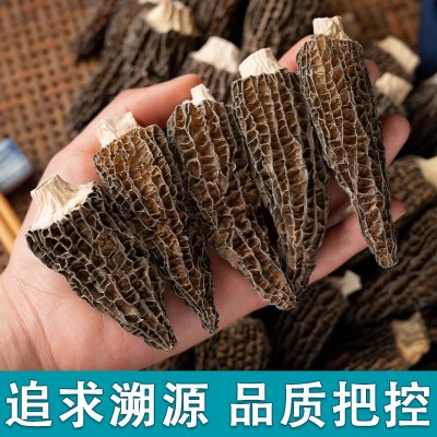 云南头茬大个头羊肚菌菇干货大号羊剪脚肚菌蘑菇250g/袋煲汤食材  2袋图4