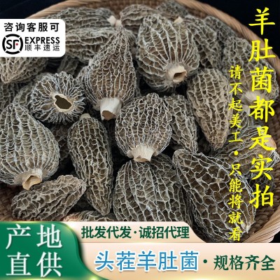 云南头茬大个头羊肚菌菇干货大号羊剪脚肚菌蘑菇250g/袋煲汤食材  2袋图2