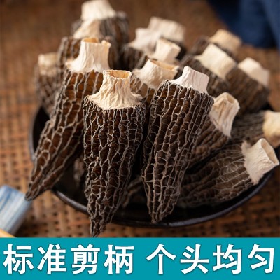 云南头茬大个头羊肚菌菇干货大号羊剪脚肚菌蘑菇250g/袋煲汤食材  2袋图3