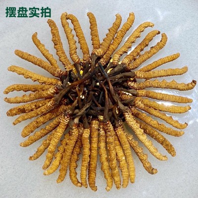西藏那曲虫草干草泡酒冬虫夏草足干货断冬虫草批发高海拔冬虫夏草  5克图2