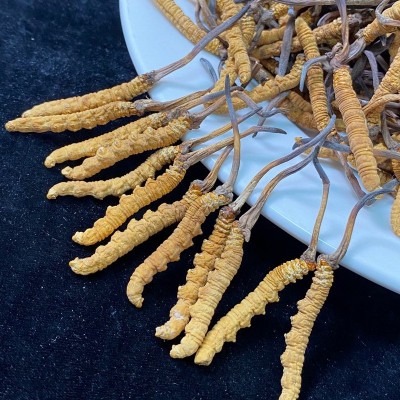 西藏那曲虫草干草泡酒冬虫夏草足干货断冬虫草批发高海拔冬虫夏草  5克图4