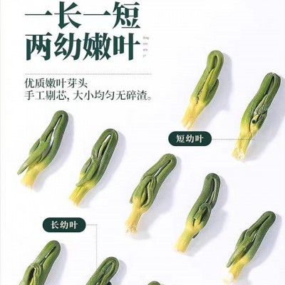 莲子心茶头茬优质莲子芯泡水泡茶优选嫩叶无硫旗舰店正品罐装110g  2件图3