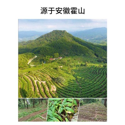 传宗堂霍山米斛干条正宗特级仿野生种植米斛干条米斛寸金基地直发  10克图3