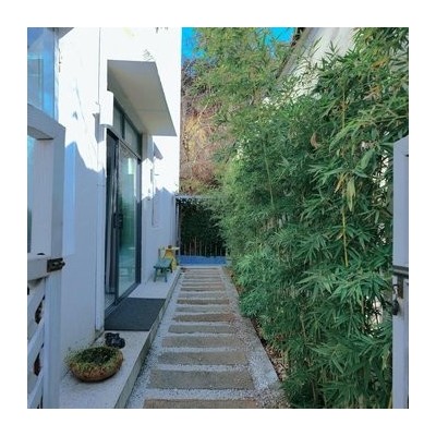 听心图3