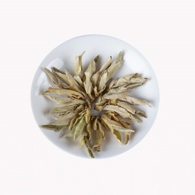 批发云南高山茶 普洱生茶 春茶芽孢 白芽孢茶叶 明前早春大雪山茶  2斤图5