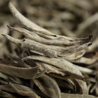 批发普洱茶生茶 2023年白毫银针 大白毫单芽 月光白（小芽）散茶  2斤图2