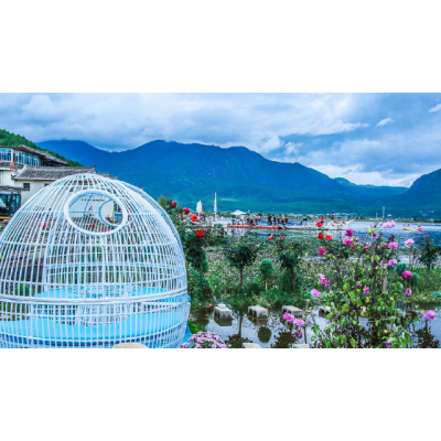 拉市海湿地公园图4