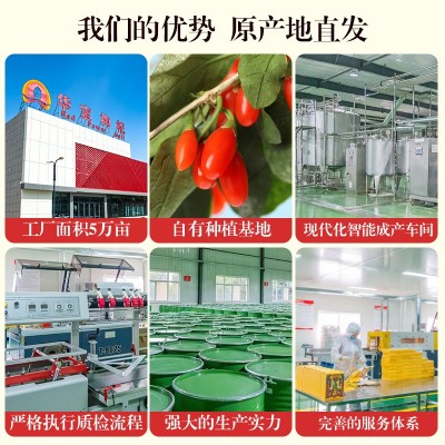 杞滋堂宁夏中宁红枸杞原浆新鲜枸杞原汁液产地厂家一件代发枸杞汁2盒图5