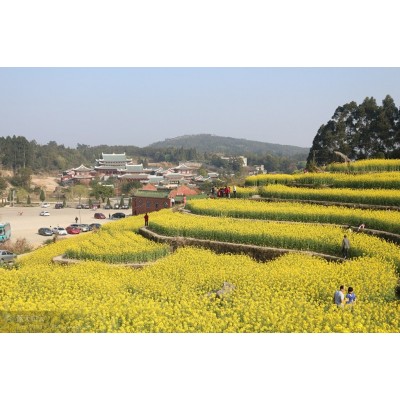 南少林寺遗址图4
