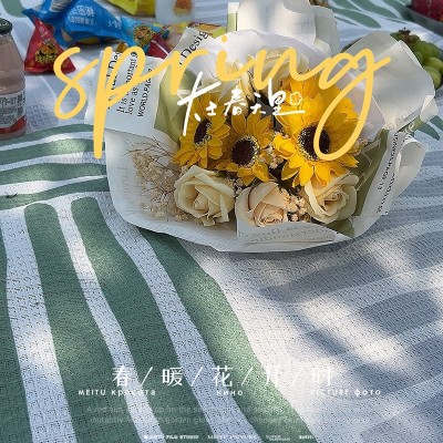 加厚防水便携户外露营帐篷草坪地垫超大春游垫子野餐垫防潮垫  1件图4