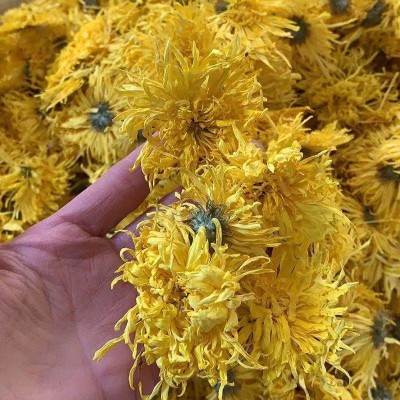 2022金丝皇菊散货批发大朵一朵一杯菊花金丝婺源散货产地基地供应2斤图2