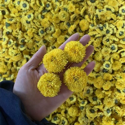 新婺源散装批发皇菊菊花菊花茶黄菊桃菊球菊乒乓球菊一朵一批大货2斤图4