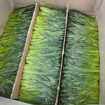 23新货太平布尖猴魁产地批发太平高山绿茶散装500g茶厂家供应3斤图2