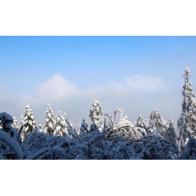 峨眉山Emei Mountain图4