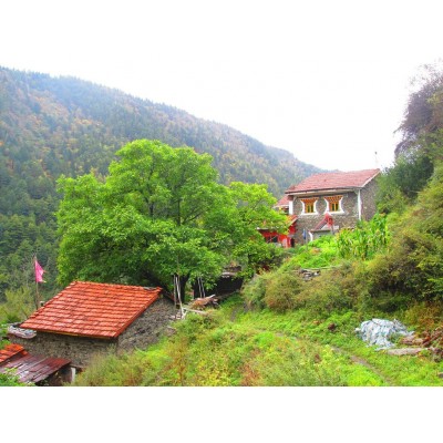 米亚罗风景区Miyaluo Scenic Area图3