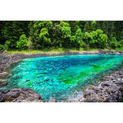 九寨沟风景区Jiuzhaigou Scenic Area图3