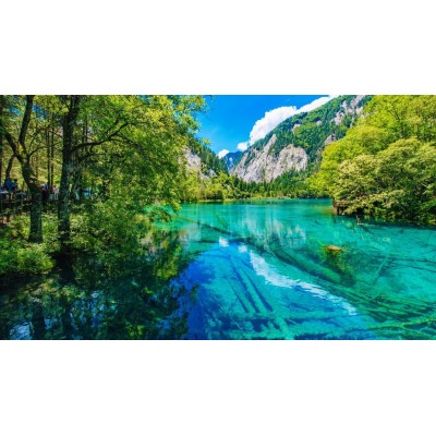 九寨沟风景区Jiuzhaigou Scenic Area图5