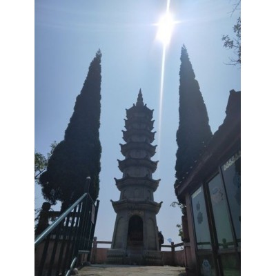 鄱阳湖国家级自然保护区图3
