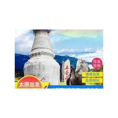 太原到五台山一日游_五台山旅游_太原到五台山旅游图4