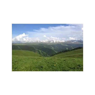 伊犁全景：那拉提、巴音布鲁克+昭苏、喀拉峻、赛里木湖双卧7日图1