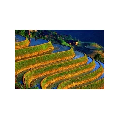 深圳到龙脊梯田旅游、游桂林、訾洲象山、桂林龙脊梯田民俗三天游图4