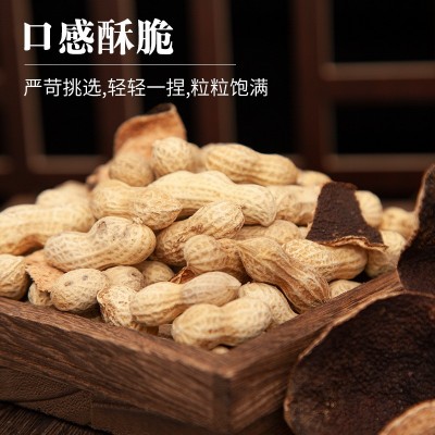 陈皮花生广东新会特产坚果花生颗粒饱满口感酥脆道地风味零食批发2包图2