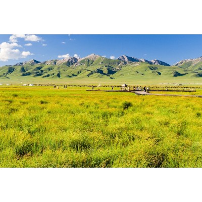若尔盖花湖生态旅游区图2