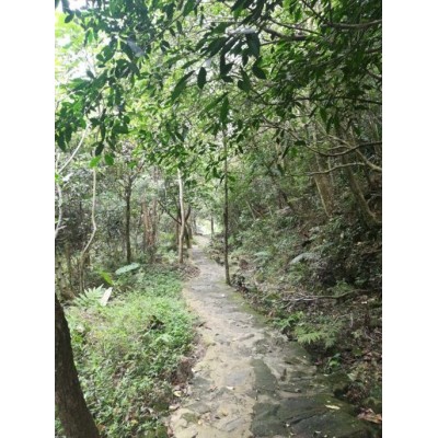 天马山生态旅游区图5