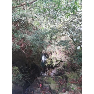 天马山生态旅游区图3