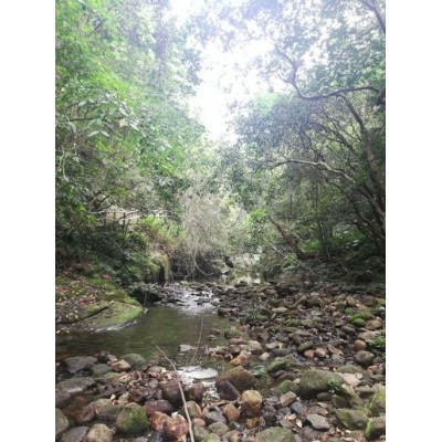 天马山生态旅游区图4