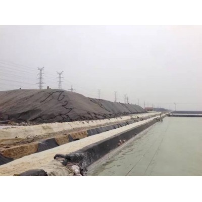 丹顶鹤湿地生态旅游区图4