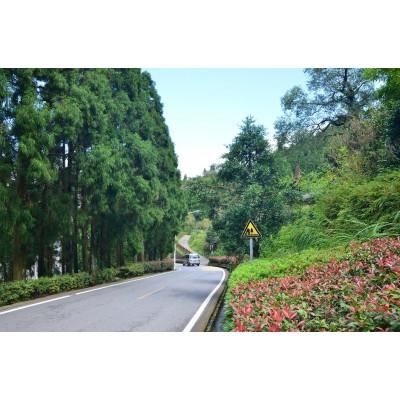 鼓岭旅游度假区Guling Scenic Area图3
