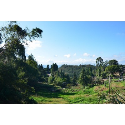 鼓岭旅游度假区Guling Scenic Area图4