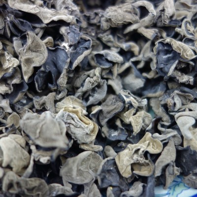 批发自产黑木耳东北特产干货无根肉厚脆爽产地500g  2件图2