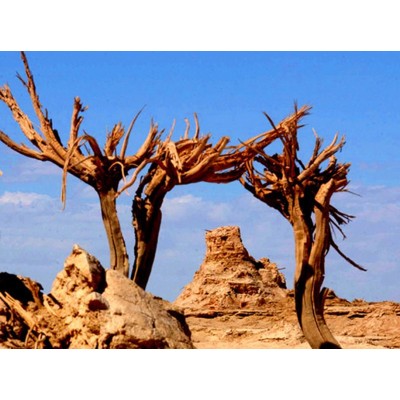 楼兰古城Loulan Ancient City图5