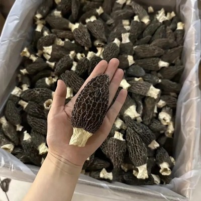 羊肚菌干货云南原产地便宜羊肚菌干菌一件代发规格齐全批发  2件图2